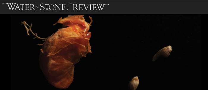 waterstone-review